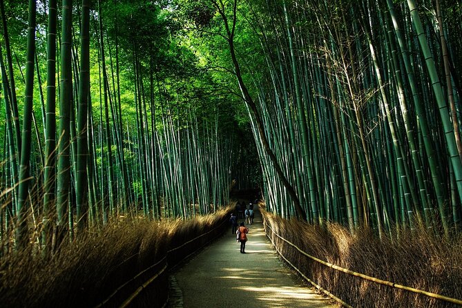 Kyoto: Private Flexible 3 hours tour with a local guide - Price and value: is $131.38 per person worth it?