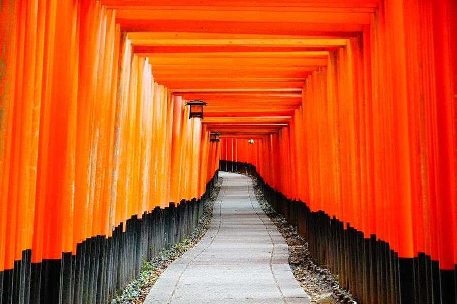 Kyoto: Private Full-Day Tour by Car - Why a private car day works so well in Kyoto
