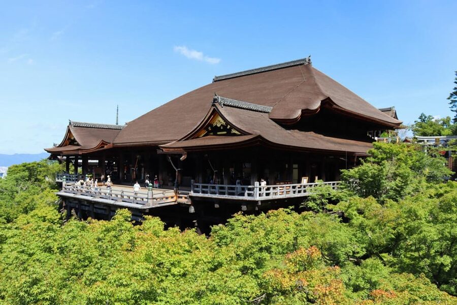 Kyoto: Private Full-Day Tour by Car - Arashiyama bamboo forest and how the timing affects your photos