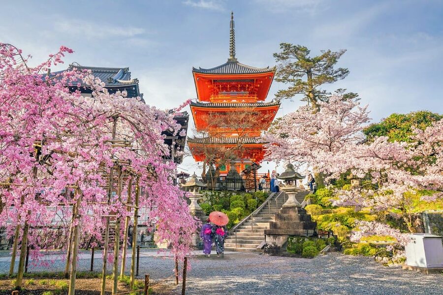 Kyoto: Private Highlights Tour with Guide and Luxury Vehicle - Kinkaku-ji (Golden Pavilion): the garden moment you’ll remember