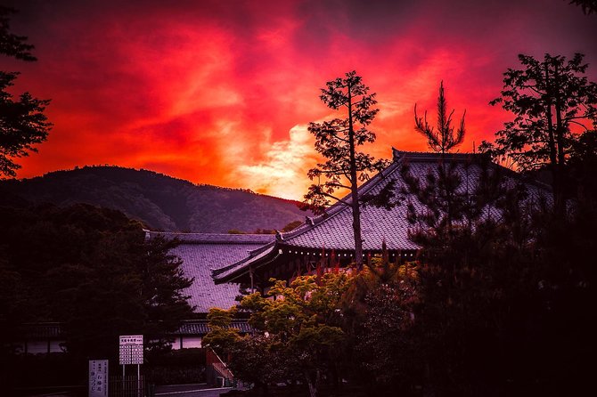 Kyoto Private Night Tour with a Local – Bars, Bites & Culture - Pontocho streets and izakaya lanes: bars, bites, and choosing the right stop