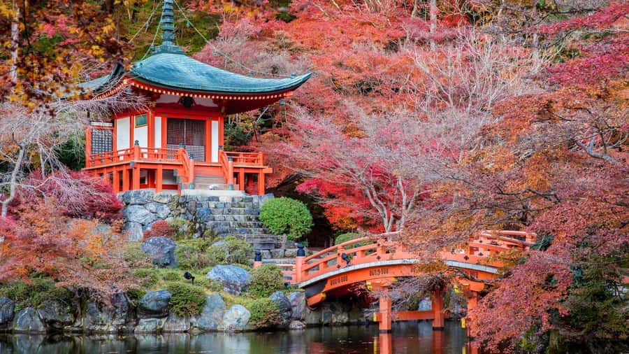 Kyoto:Private Tour/Luxury Vehicle with Guide & photographer - Should you book this Kyoto private tour?