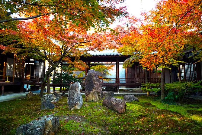Kyoto Private Tour: One Day Highlights and Cultural Gems - Food, Timing, and What You Should Budget For