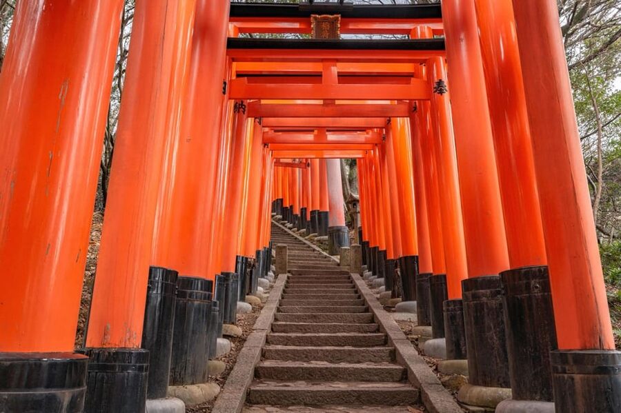 Kyoto: Private tour with Kyoto's licensed guide. Spanish - Price and what you’re really paying for (plus the extras)