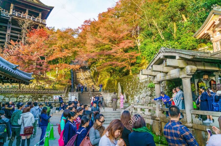 Kyoto: Private Tour with Local Licensed Guide - Key highlights worth your attention