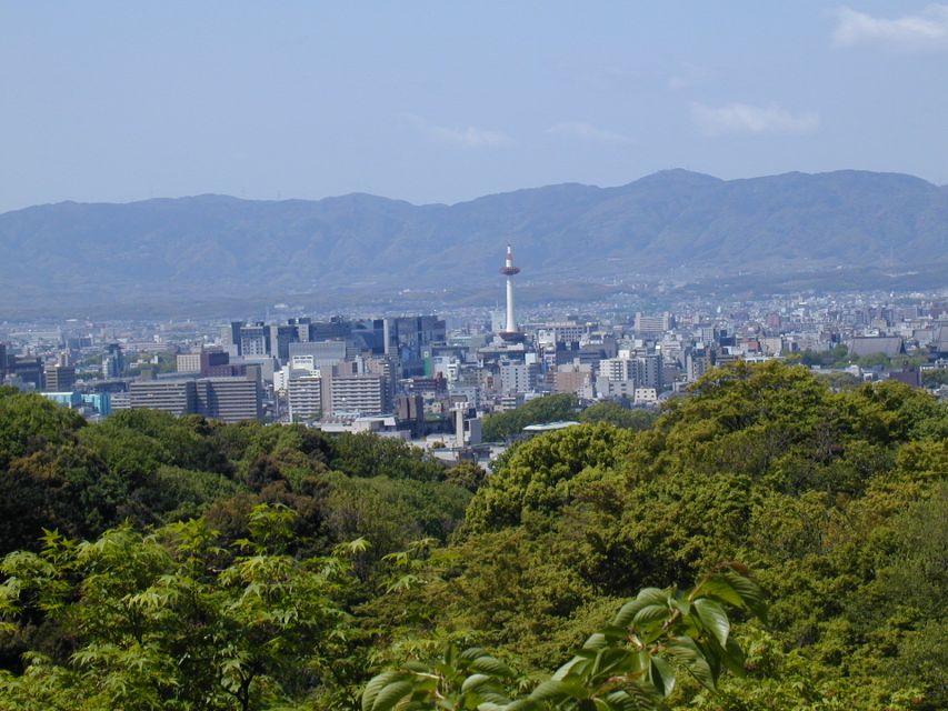Kyoto: Private Tour with Local Licensed Guide - Choosing Your Stops: Build a Kyoto Day That Fits Your Taste