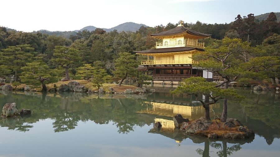 Kyoto: Private Walking Tour with a Local - A Kyoto walk built around you, not a script