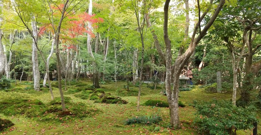 Kyoto:Quiet Arashiyama and Sagano Temples - Key things I’d bet on before you go