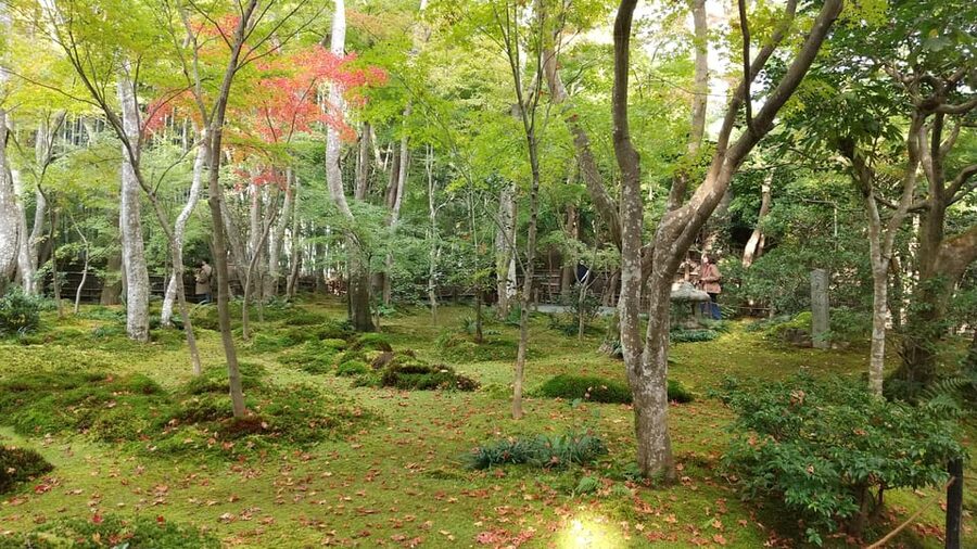 Kyoto:Quiet Arashiyama and Sagano Temples - Adashino Nenbutsu-ji and the story of the heartless field
