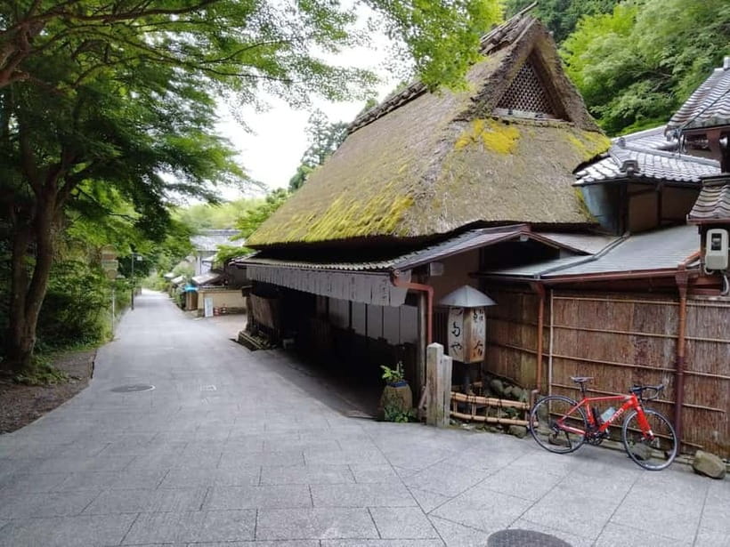 Kyoto:Quiet Arashiyama and Sagano Temples - Tenryuji Temple: guided stillness that makes the time feel longer