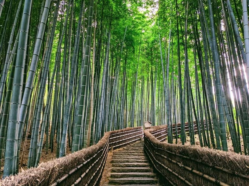 Kyoto:Quiet Arashiyama and Sagano Temples - Pace, price, and whether $38 makes sense for you