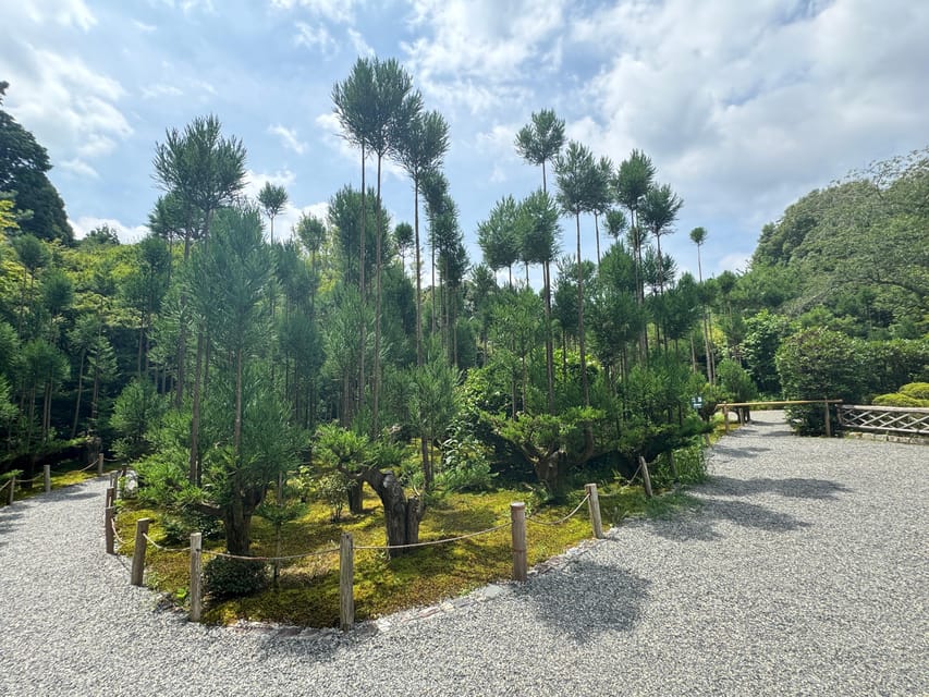 Kyoto: Ryōan-ji, Greatest Zen Garden Guided Tour in 90 Min. - The guide factor: Kaito and Sanae show what “good” looks like