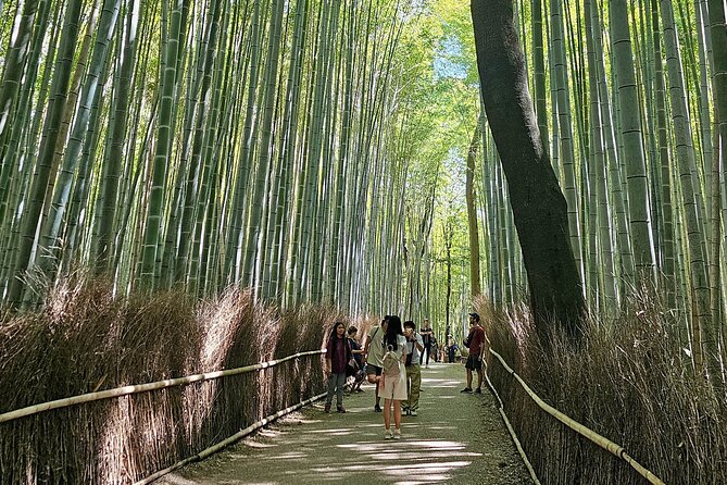 Kyoto's Arashiyama Bamboo Grove: 3-Hour Guided Tour - Key Things You’ll Notice on This Arashiyama Tour