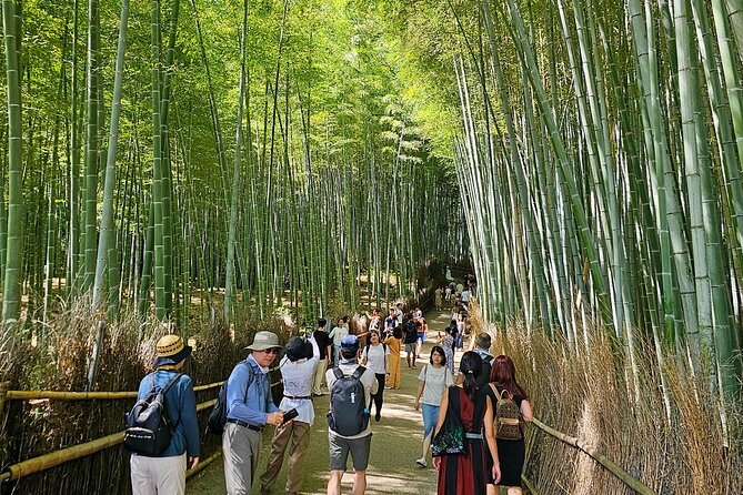 Kyoto's Arashiyama Bamboo Grove: 3-Hour Guided Tour - Togetsu Bridge and the Kimono Forest Moment: Icon Views, No Guesswork