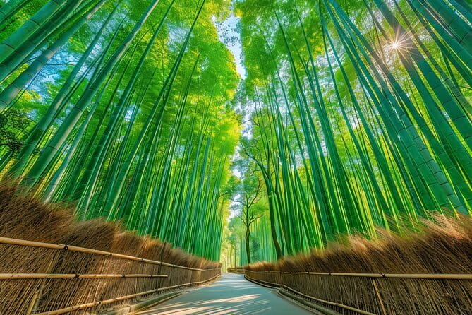 Kyoto’s ONLY COUNTRYSIDE E-Bike Tour with a Japanese Local! - The e-bike experience: what “gentle assistance” means in real life