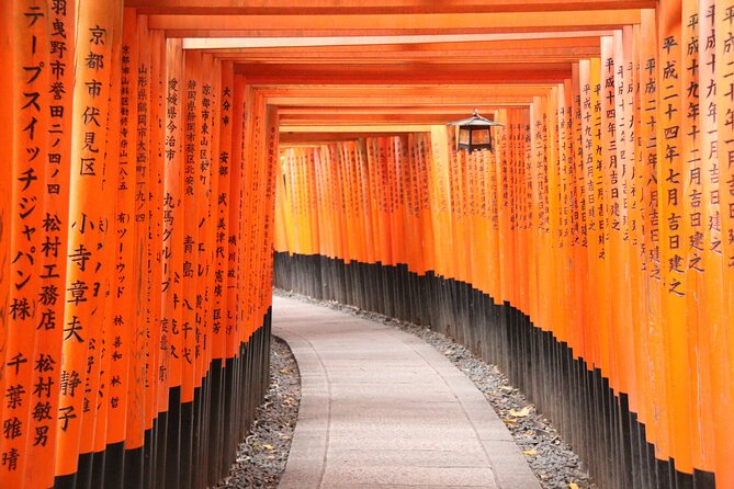Kyoto's Top City Highlights: 2-Day Private Tour Experience - Day 2: Arashiyama bamboo, river views, monkey park, then Kiyomizu-dera and Gion