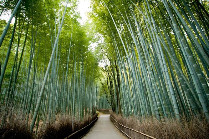 Kyoto Sagano Insider: Rickshaw and Walking Tour - Key Things I’d Prioritize on This Arashiyama Tour