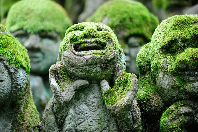 Kyoto Sagano Insider: Rickshaw and Walking Tour - Bamboo Forest Rickshaw Ride: Photos First, Optional Extra Footsteps