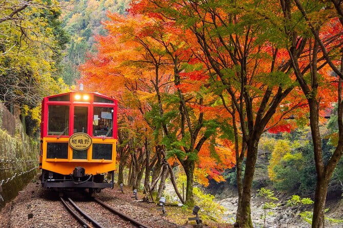 Kyoto Sagano Romantic Train in Arashiyama Bus Tour - Hozugawa Kudari Boat Ride: When the River Cooperates
