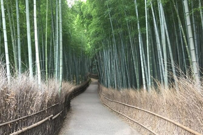 Kyoto Shogun Cycling Tour - The Ride Between Stops: District Color You Might See