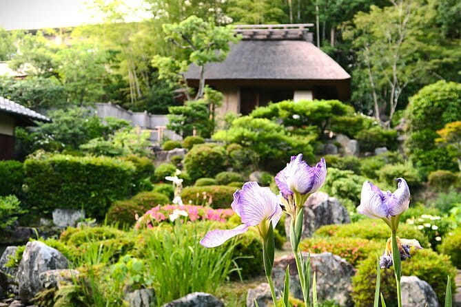 Kyoto Shogun Cycling Tour - Getting Oriented Fast: Start Point, Timing, and Bike Comfort