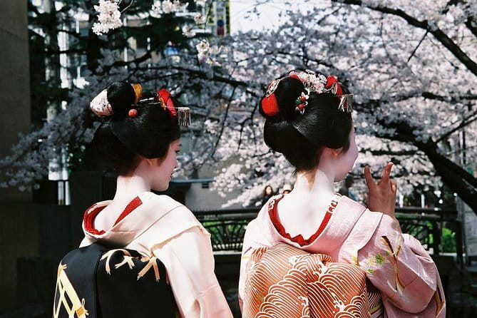Kyoto Spring Evening (Cherry Blossom) Food Tour - Key points I think matter before you go