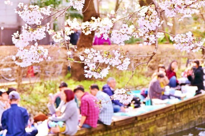 Kyoto Spring Evening (Cherry Blossom) Food Tour - Kyoto Botanical Gardens and the Imperial Palace: why these add weight to the route