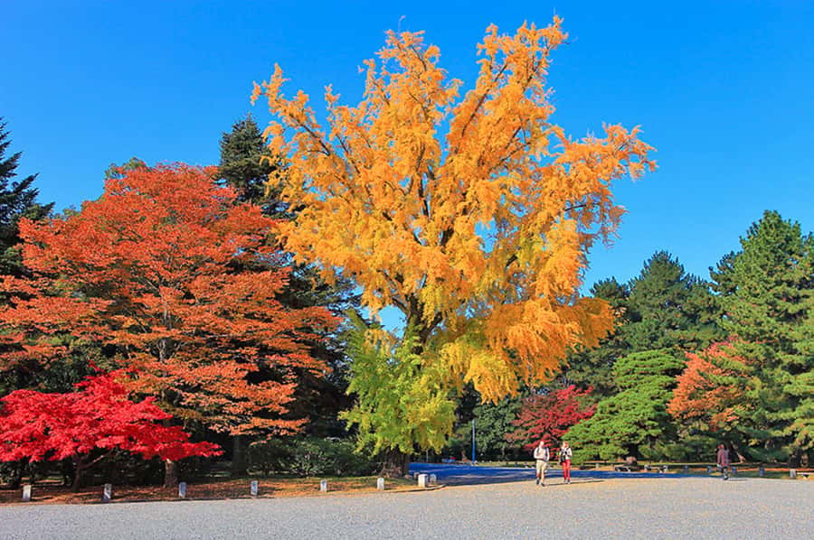 Kyoto: Tailored E-Bike Tour to Highlights & Hidden Gems - Temples, shrines, and quieter walking: using the e-bike like a local