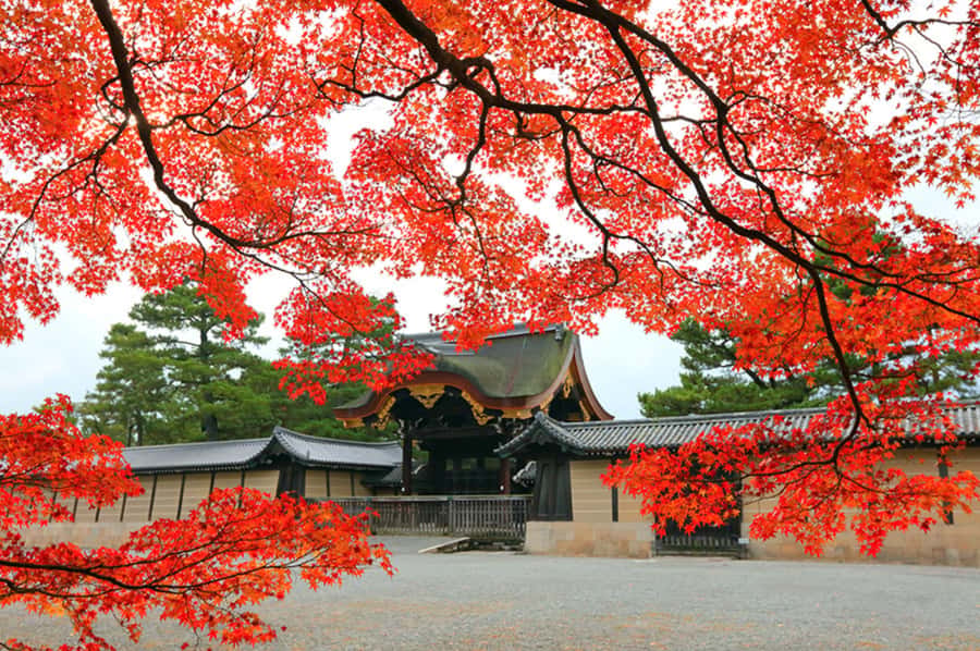 Kyoto: Tailored E-Bike Tour to Highlights & Hidden Gems - Markets, ramen, and the sweets stop: what you’ll actually eat and remember
