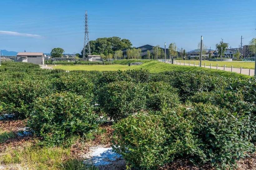 Kyoto: Tea Museum Tickets and Matcha Grinding Experience - Brewing Your Matcha: Instructor Tips You’ll Use Again
