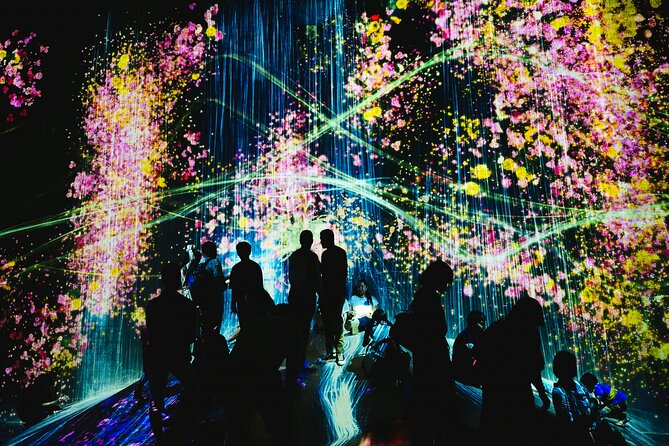 Kyoto TeamLab Biovortex & Kyoto Walking Tour - Key Highlights You’ll Actually Care About