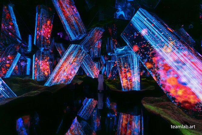 Kyoto TeamLab Biovortex & Kyoto Walking Tour - teamLab Biovortex Kyoto: Interactive Digital Art Inspired by Body and Nature