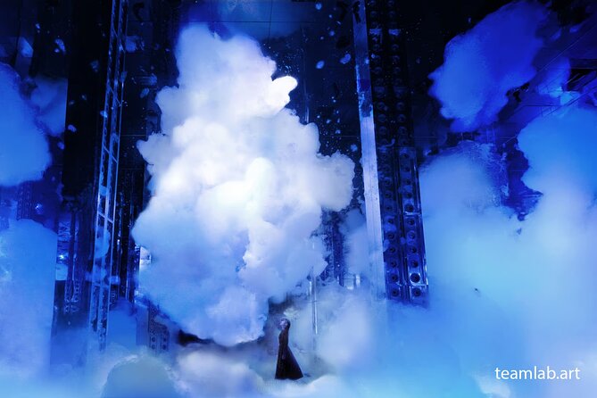 Kyoto TeamLab Biovortex & Kyoto Walking Tour - How the Timing and Route Feel in Real Life