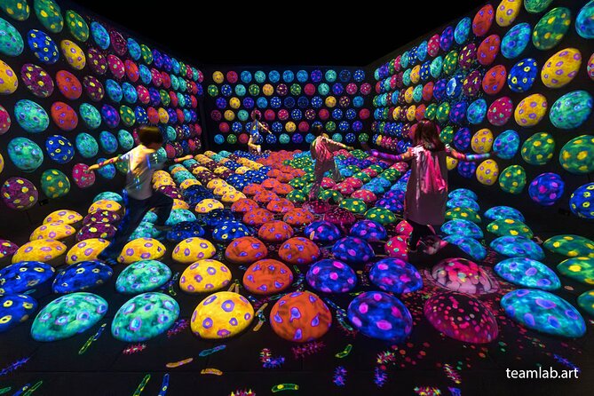 Kyoto TeamLab Biovortex & Kyoto Walking Tour - Who This Tour Suits Best (and Who Might Prefer Something Else)