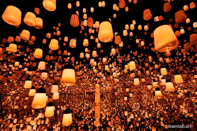 Kyoto TeamLab Biovortex & Kyoto Walking Tour - A Realistic Take on What You’ll Enjoy Most