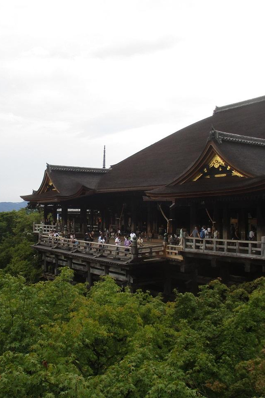 KYOTO: Tempio Kiyomizu Pagode Gion “Geisya” (Guida Italiana) - Ending at Pontocho: keep the night going your way