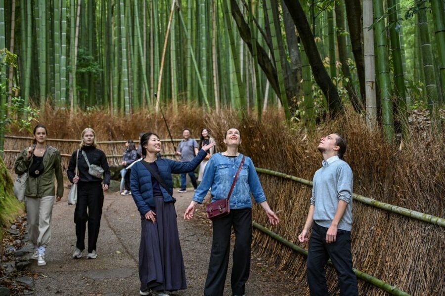 Kyoto to Arashiyama Day Trip - Private & Personalized - A Private 6-Hour Arashiyama Remix from Kyoto