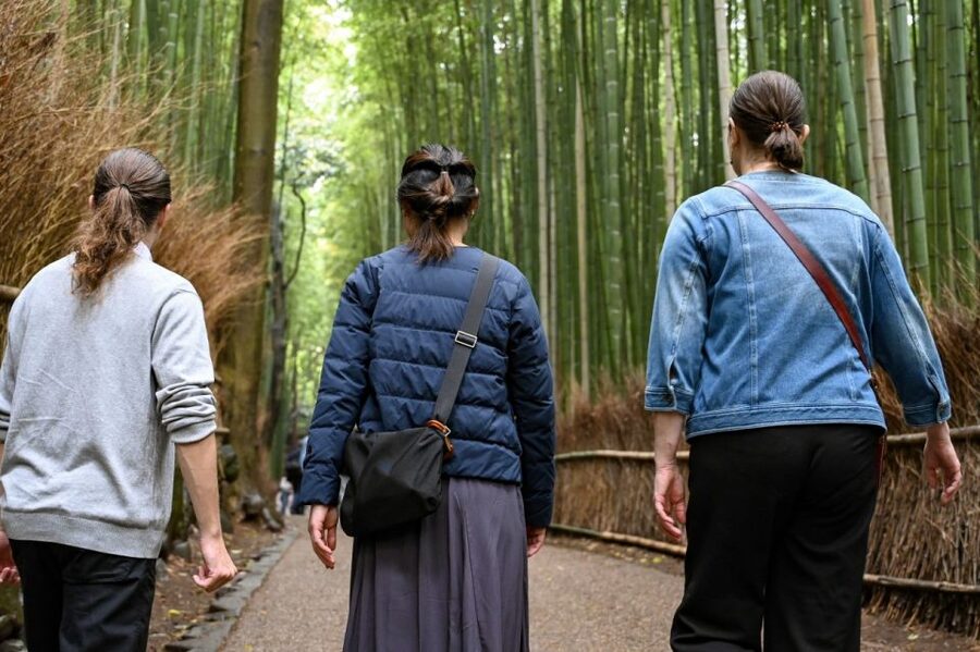Kyoto to Arashiyama Day Trip - Private & Personalized - Okochi Sanso Villa: Gardens with Actor-Grade Drama