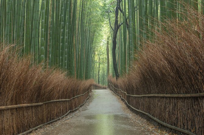 Kyoto top must-see Golden pavilion and Bamboo forest half-day Private tour - Kinkakuji Golden Pavilion: Shogun Power in Gilded Form