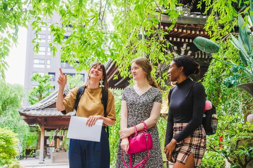 Kyoto: Top Sights Guided Tour - Gion, Kinkaku, Fushimi, Nijo - Key highlights you’ll feel right away