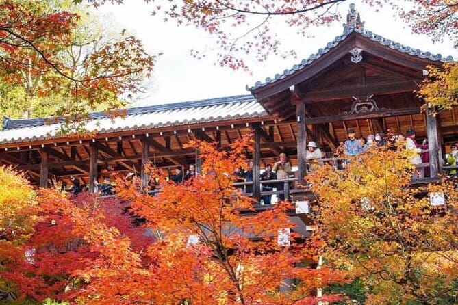 Kyoto tour 12 hours Private Nagoya pick up available - The private-car setup: comfort, pace, and what the driver actually does