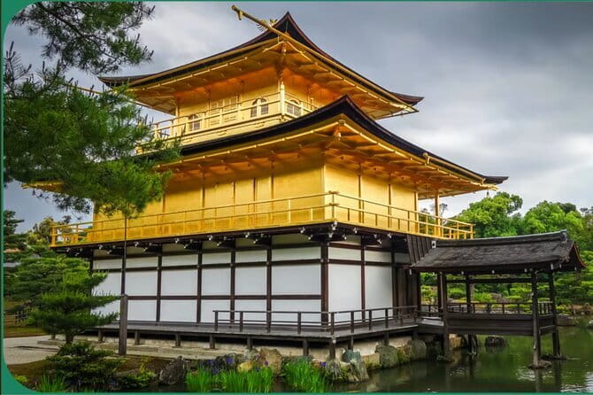 Kyoto tour 12 hours Private Nagoya pick up available - Stop 4: Fushimi Inari-taisha for the torii-gate paths