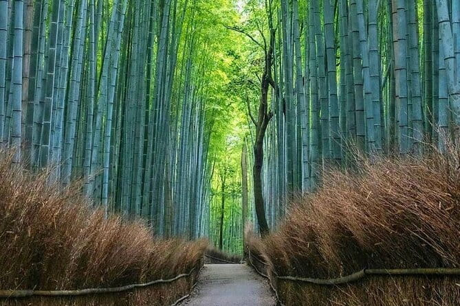 Kyoto tour 12 hours Private Nagoya pick up available - Stop 1: Arashiyama with time for bridge views and food