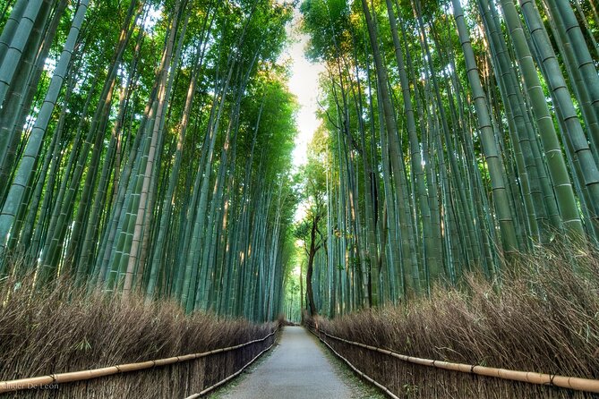 Kyoto tour with English Speaking Chauffeur - Silver Pavilion (Ginkakuji): minimalist Zen, paid ticket, calm payoff