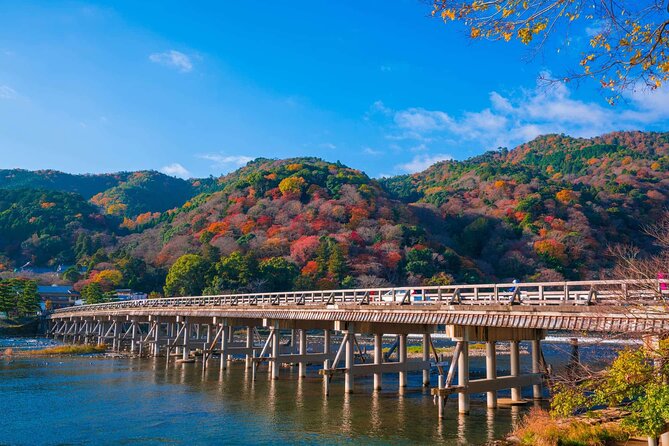 Kyoto tour with English Speaking Chauffeur - Fushimi Inari-taisha: the torii gates are the main event