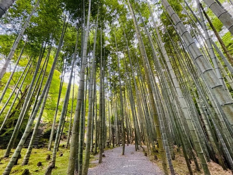 Kyoto : True Kyoto Avoid the crowds E-Bike Tour - Shimogamo shrine: a quiet, meaningful stop without the stampede