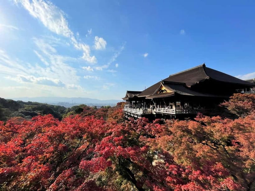 Kyoto UNESCO World Heritage Sites 1d Tour from Osaka/Kyoto - Price and Logistics: what $59 gets you (and what’s extra)