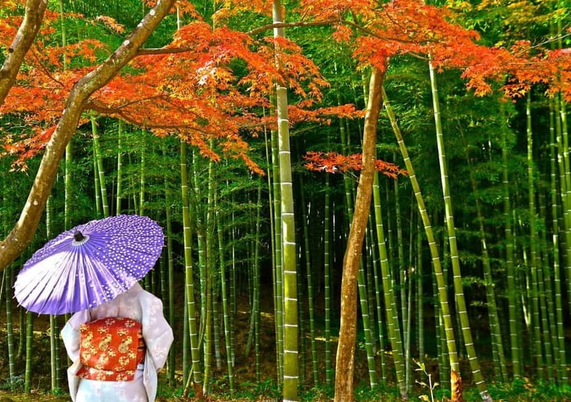 Kyoto UNESCO World Heritage Sites 1d Tour from Osaka/Kyoto - Your day starts in comfort: pickup options and how the group works