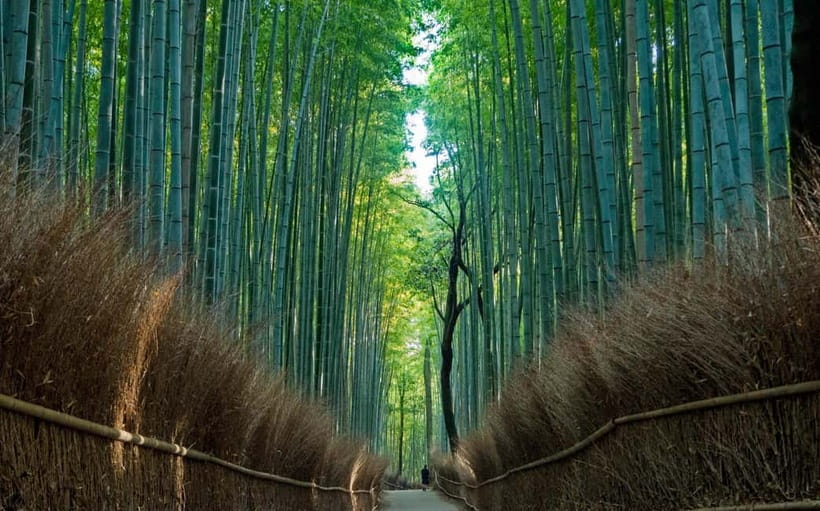 Kyoto UNESCO World Heritage Sites 1d Tour from Osaka/Kyoto - Ninenzaka and Sannenzaka: temple-town walking and souvenir sanity