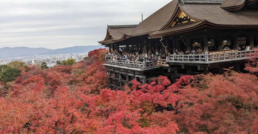 Kyoto: Walking tour Kiyomizu, Geisha District with a Local - Shijo Bridge start: the easiest way to begin your Kyoto day
